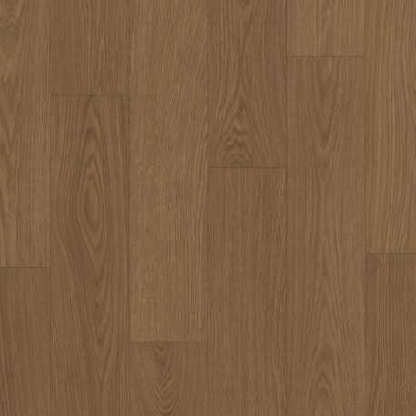 Roble cacao