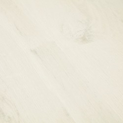 Roble blanco Charlotte 2