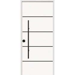 Puerta Metálica de Seguridad Piscis
