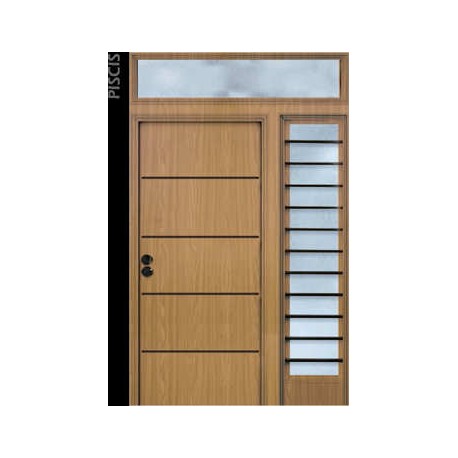Puerta Metálica de Seguridad Acuario
