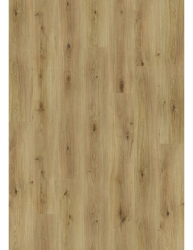Roble Natural claro AC4 Top XXL