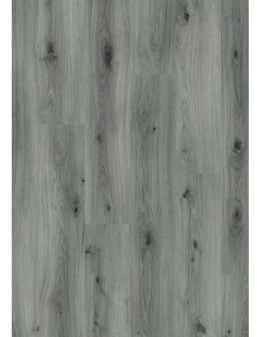 Roble Gris bruma AC4 Top XXL