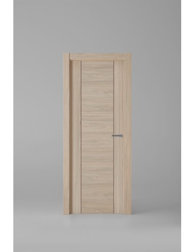 Modelo 1006ECH