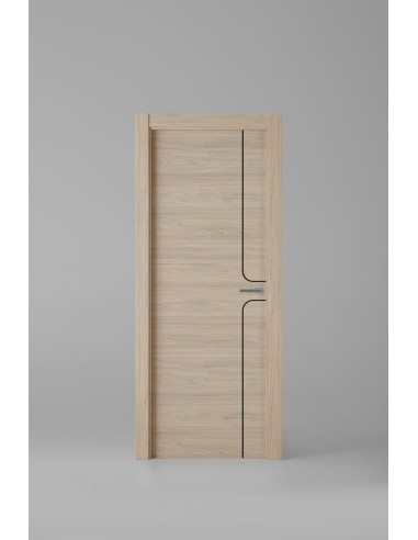 Modelo X1004