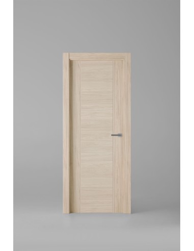 Modelo 1006ECH