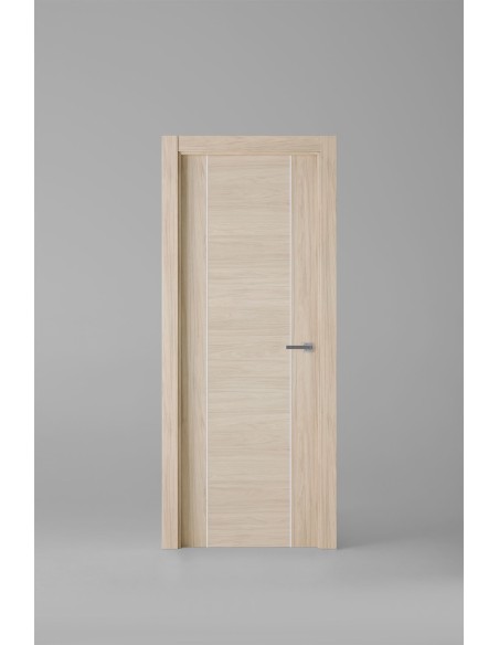 Modelo 1006ECH