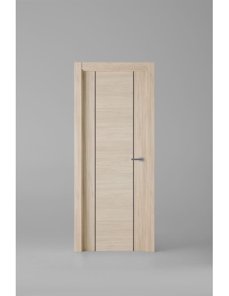 Modelo 1006ECH