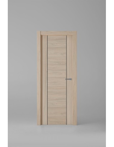 Modelo 1006ECH