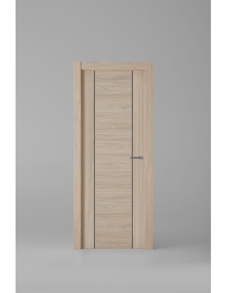 Modelo 1006ECH