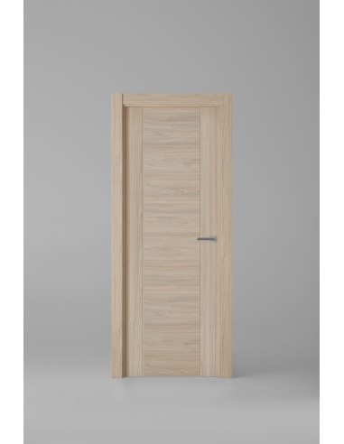 Modelo 1006ECH