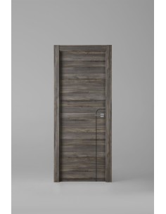 Modelo X1001