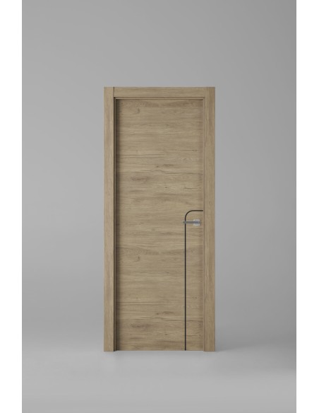 Modelo X1001