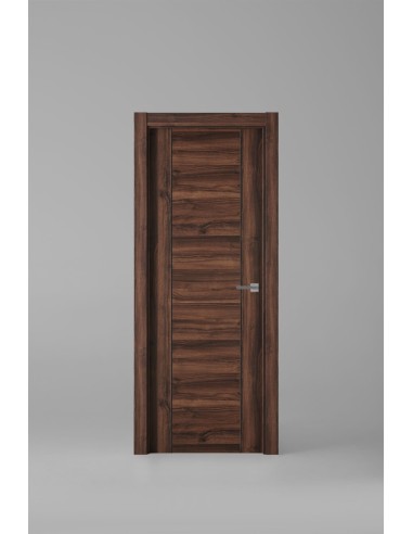 Modelo 1006ECH