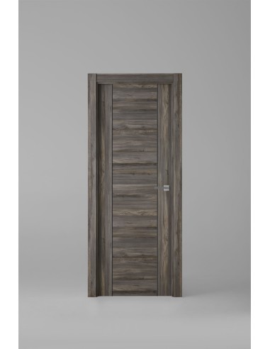 Modelo 1006ECH