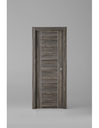 Modelo 1006ECH