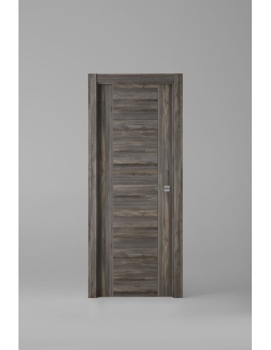 Modelo 1006ECH