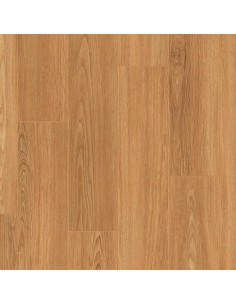 Roble novel AC5