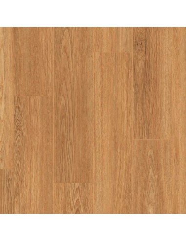 Roble novel AC5