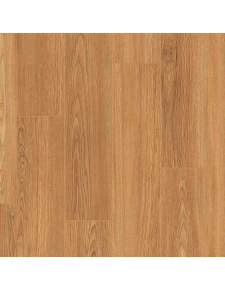 Roble novel AC5