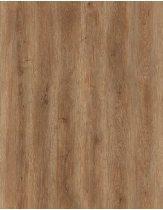 Iconic Oak